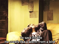 minegif the used bert mccracken tú The Bird and the Worm