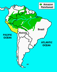 South America Amazon River