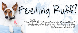 Funny Quotes Contact Us DMCA Notice