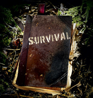... : August 2008 How to Survive (Almost) Anything: 14 Survival Skills