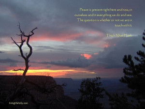 Quote by Thich Nhat Hanh