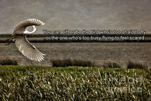 Snowy Egret Inspirational Quote Print by Tom Gari Gallery-Three ...
