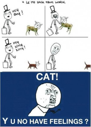 Cat have no feelings