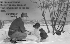 Dog Quotes - Wonderful Sayings About Man's Best Friend