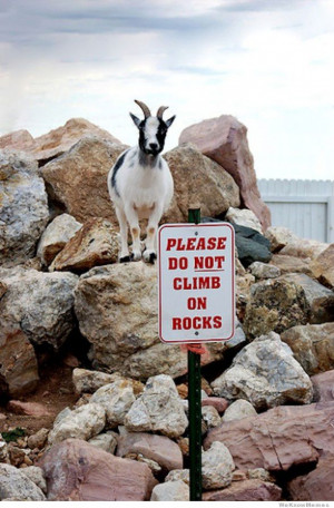 fuck-the-police-please-do-not-climb-on-rocks