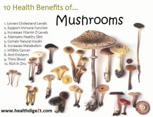 Humor Messages & Funny Quotes on Women