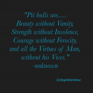 pit bull