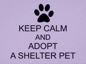 Found on Uploaded by user