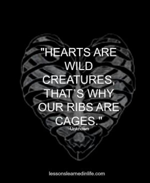Hearts are wild creatures, that's why our ribs are cages.
