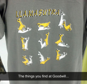 funny-picture-goodwill-llama-shirt-positions