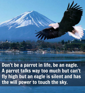 an eagle. A parrot talks way too much but can't fly high but an eagle ...