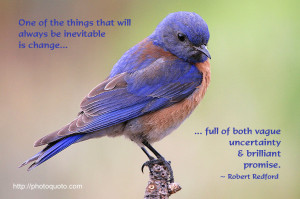 Sayings, Quotes: Robert Redford