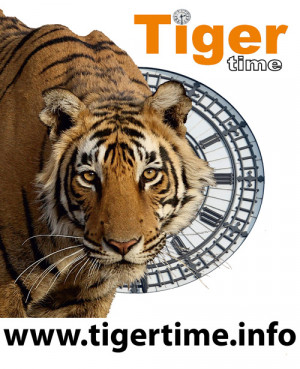 Please sign up to ‘Tiger Time' and help Save the Tiger