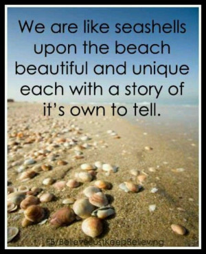 Seashells tell a unique story .....