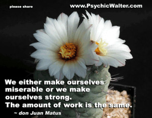 Inspiring quotes, funny quotes, & love quotes from famous and ...