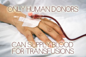 Foreseeable Future Quotes