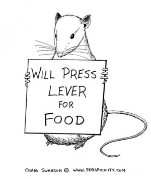 Psychology Skinner Rat