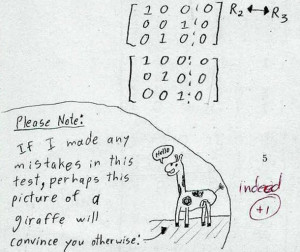 25 Funny Test Answers That Are Ingeniously Wrong