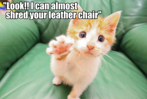 Cute Quotes: That will Make Rainbows Pour Out Of Your Underpants