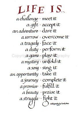 Image of calligraphy P8-56 Life is a Challenge, a Gift, an Adventure
