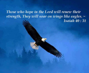 can't take credit for this photo but I did apply the verse to it.