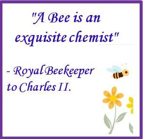 Bee Quotes And Proverbs