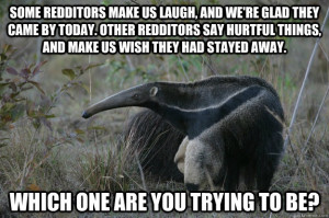 Funny Anteaters Pictures Anteater Facts