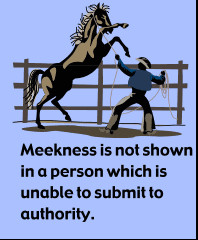 Meekness is not shown when a person is unable to submit to one in ...