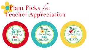 Plant Picks from Skip To My Lou