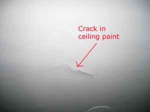 ceiling paint