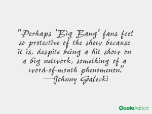 Perhaps 'Big Bang' fans feel so protective of the show because it is ...