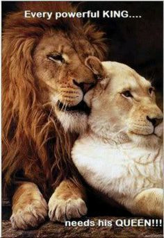 Every Powerful Kings .....needs his Queen! More