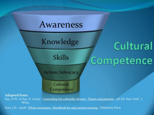 To summarize, cultural competence is an on-going processmade up of 4 ...