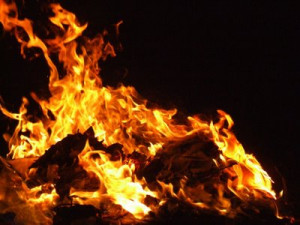 Bonfire of the Insanities: Dumbinance Strikes Again