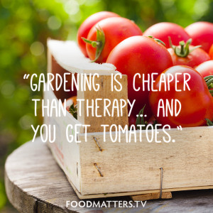 Gardening is cheaper than therapy… and you get tomatoes.”