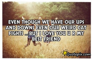 Even though we have our ups and downs even our weird cat fights ...
