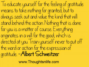 ... feeling of gratitude means to take nothing for granted, but.. ~Albert