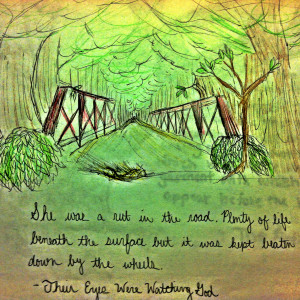 Their Eyes Were Watching God Book