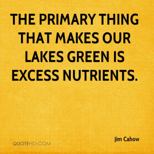 The primary thing that makes our lakes green is excess nutrients.