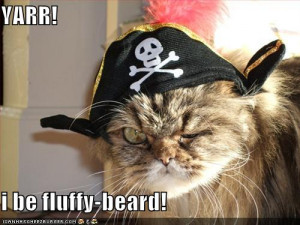 funny-pictures-pirate-cat
