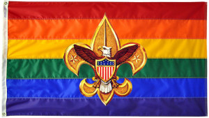 QUEER QUOTE: Boy Scouts Rescind Homophobic Ban On Openly Gay Adult ...