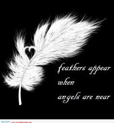 ... Quotes, Feather Tattoos Quotes, Guardian Angels Quotes, Feather Quotes