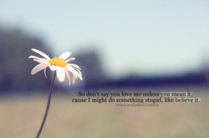 ... quotes typography sayings text photography daisy love love quotes mean