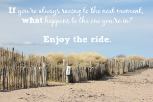 Enjoy the Ride}