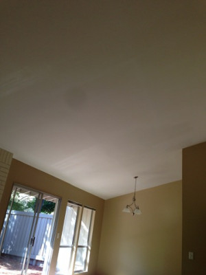 Beckys Job, Painted Ceilings2