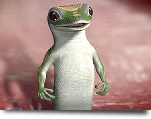 Geico is one of the most successful insurancefirms in the US.