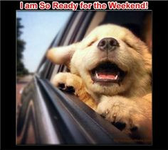 Ready for the weekend quotes quote friday happy friday tgif days of ...