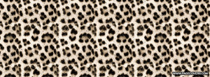 Cover Leopard Background Cover Comments