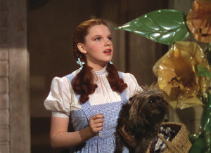 Toto-and-Dorothy-toto-the-wizard-of-oz.jpg