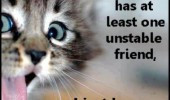 cat-pictures-hilarious-friends-unstable-friend-quote-friendship-quotes ...